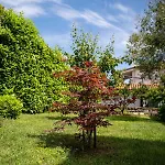 Apartmán Soraja *