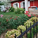 Soraja Izola