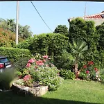 Soraja * Izola