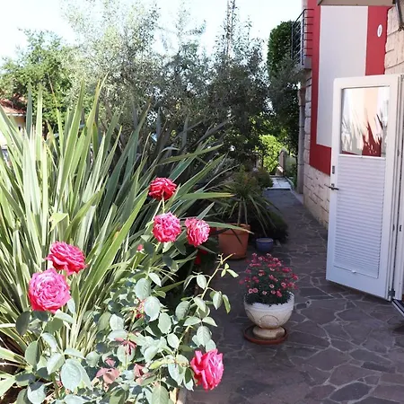 Soraja Appartement *