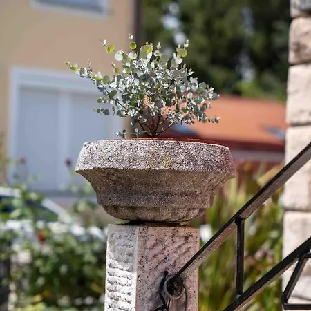 Soraja Apartma Izola