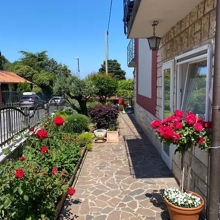 Soraja * Izola