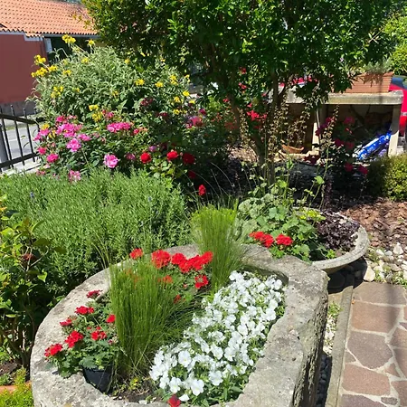 Appartement Soraja Izola