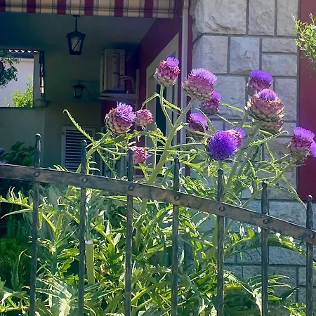 Soraja Appartement