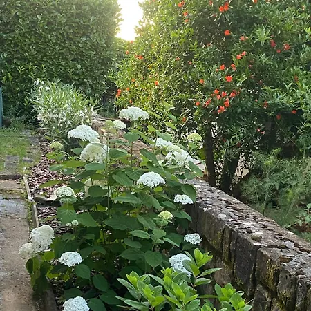 Appartement Soraja Izola