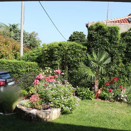 Soraja * Izola