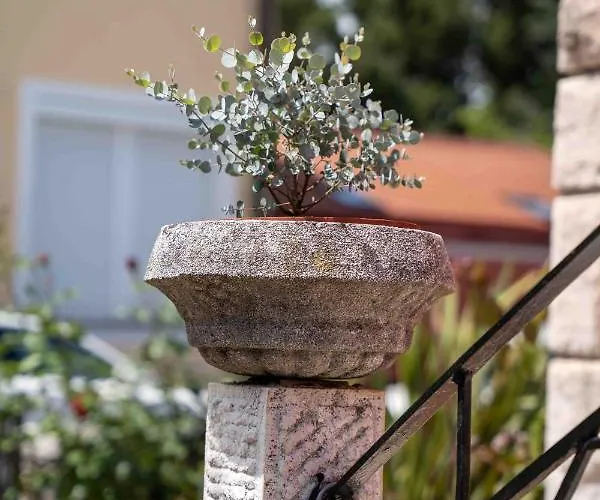 Soraja 公寓 伊佐拉